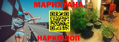 молекула духа Пугачёв
