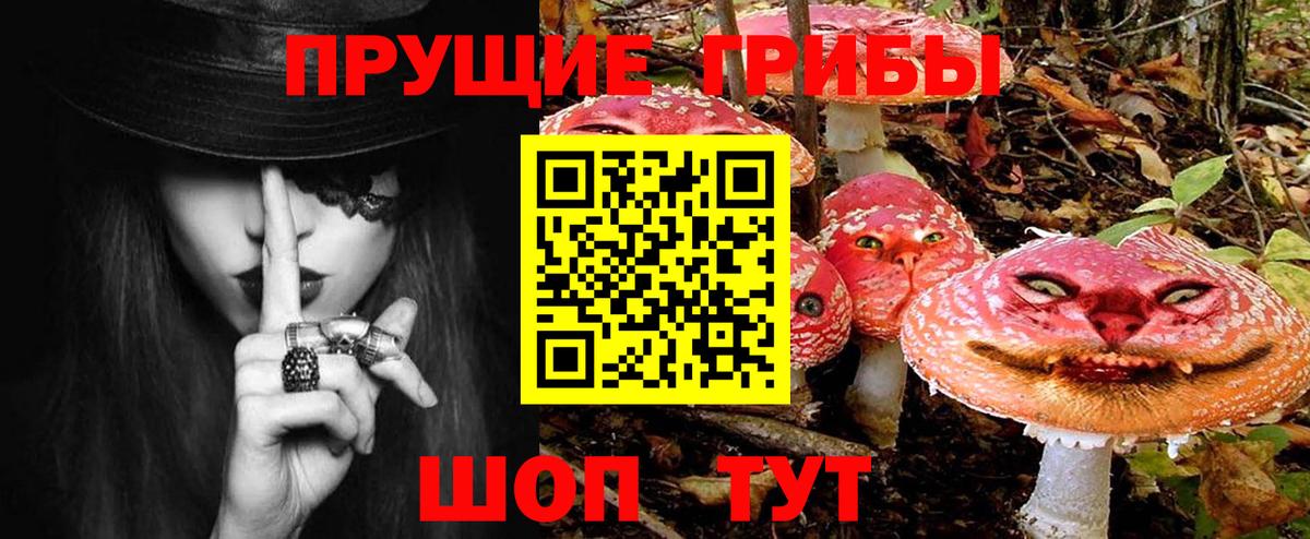 Солнечногорск  Галлюциногенные грибы прущие грибы  Вход с VPN 