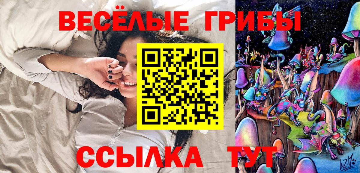 Псилоцибиновые грибы Psilocybine cubensis Солнечногорск